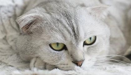 乐鱼体育登录：开启你的专属体育娱乐新纪元